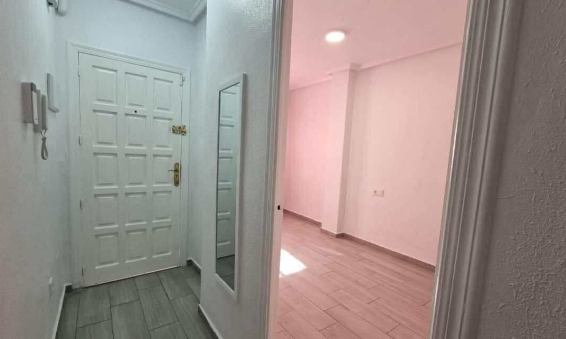 Segunda mano - Apartamento -
Torrevieja - Costa Blanca