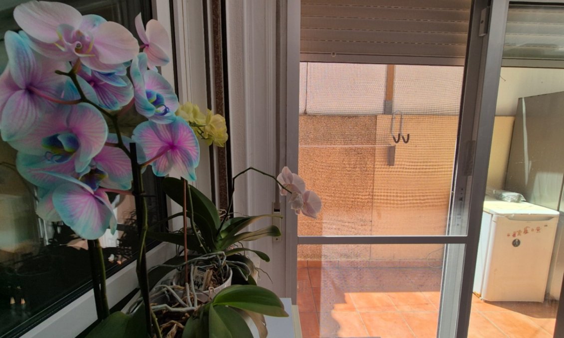 Wiederverkauf - Town House -
Torrevieja - Costa Blanca