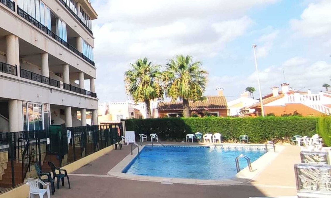 Segunda mano - Apartamento -
Playa Flamenca - Costa Blanca