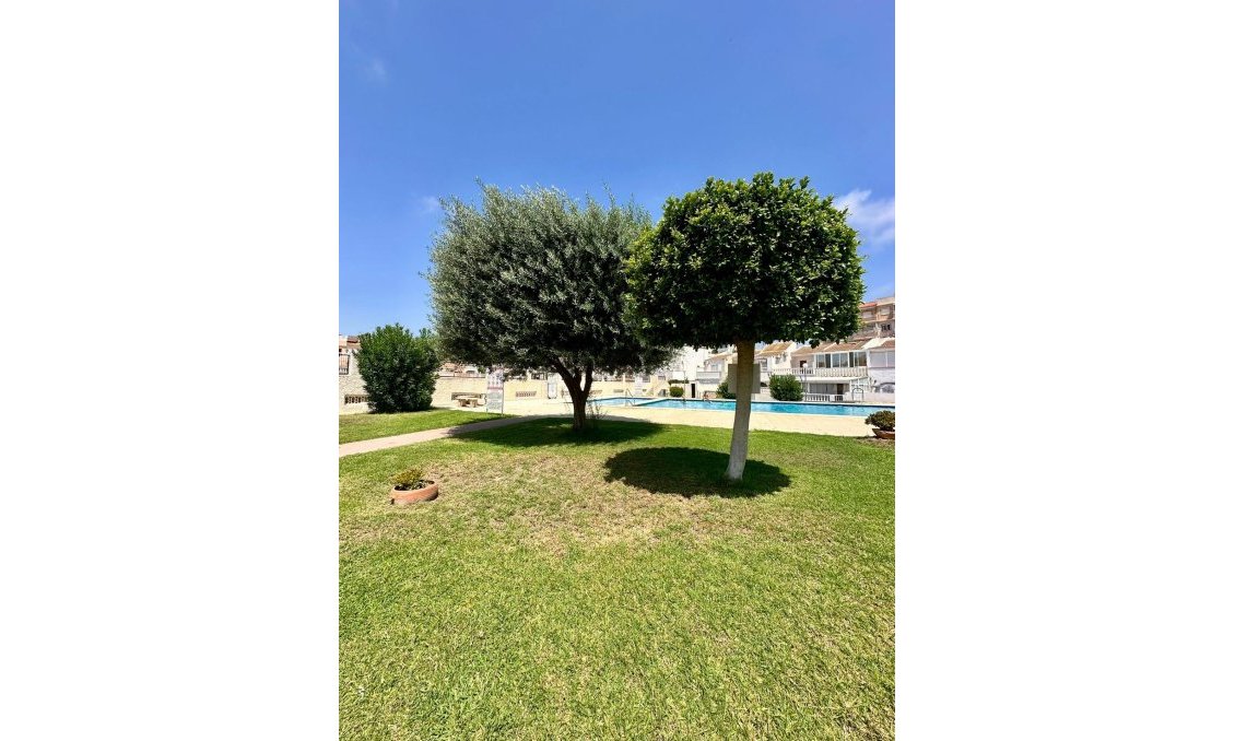 Segunda mano - Bungalow -
Torrevieja - Aguas Nuevas