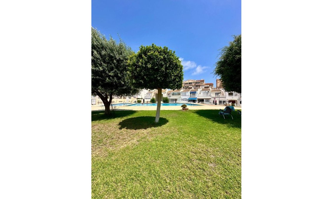 Segunda mano - Bungalow -
Torrevieja - Aguas Nuevas