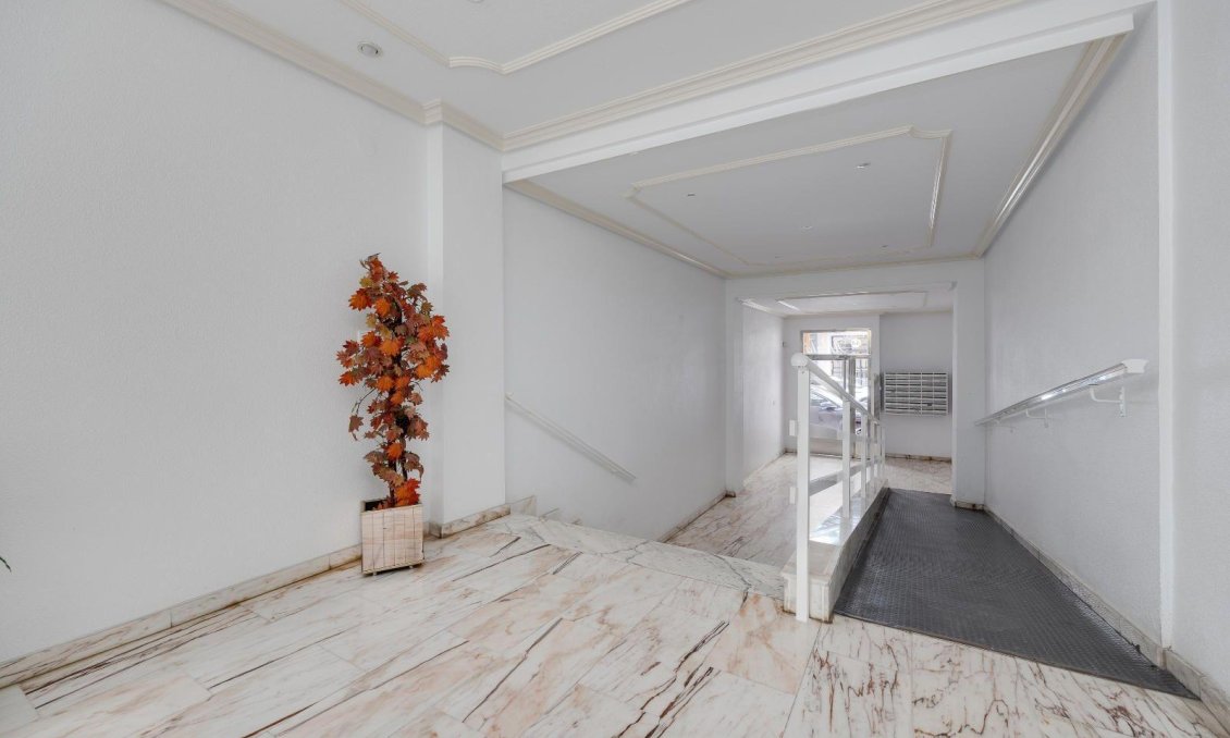 Segunda mano - Apartamento -
Torrevieja - Centro