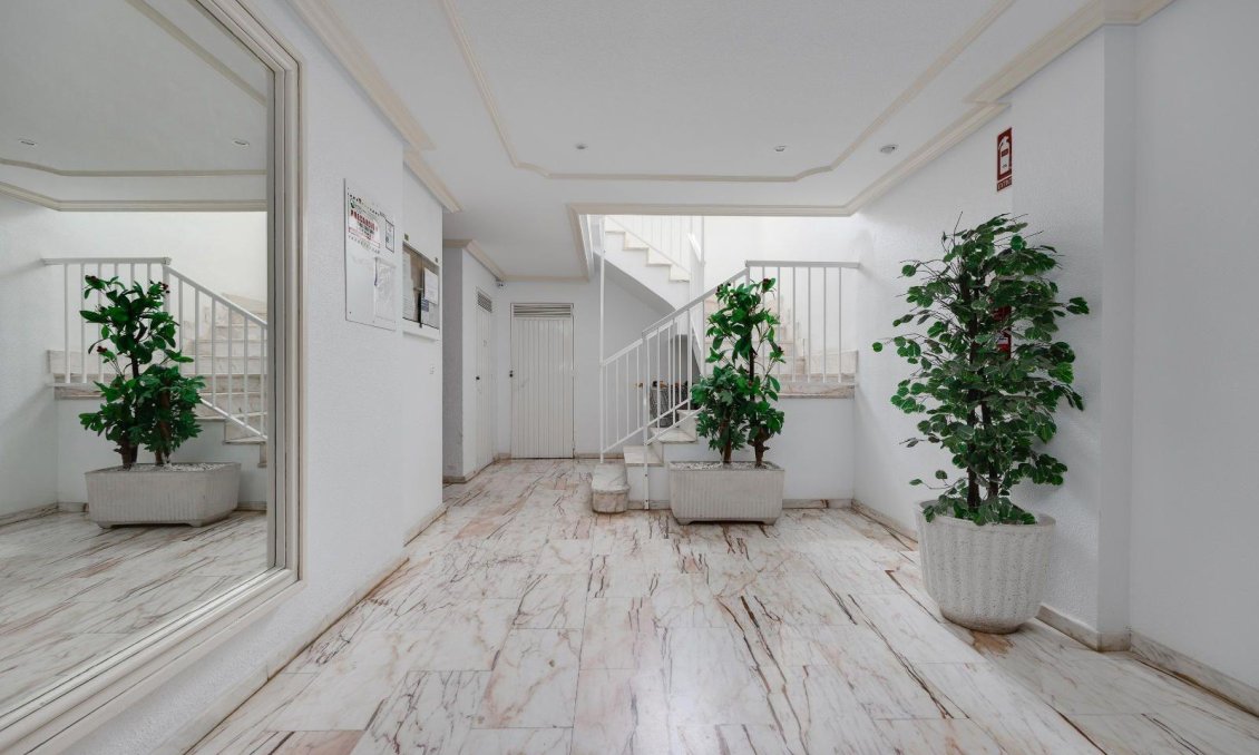 Segunda mano - Apartamento -
Torrevieja - Centro