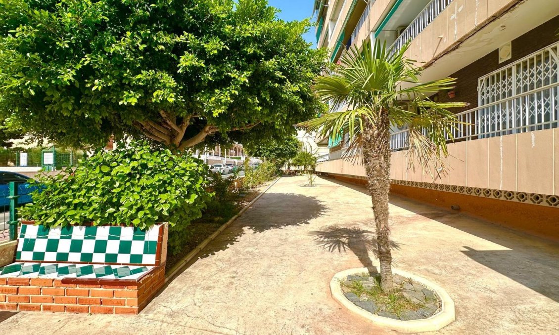 Segunda mano - Apartamento -
Torrevieja - Punta Prima