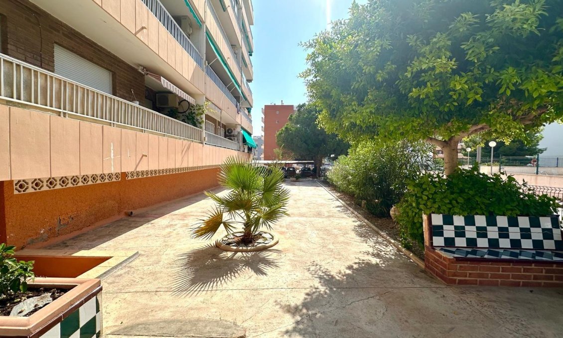 Segunda mano - Apartamento -
Torrevieja - Punta Prima