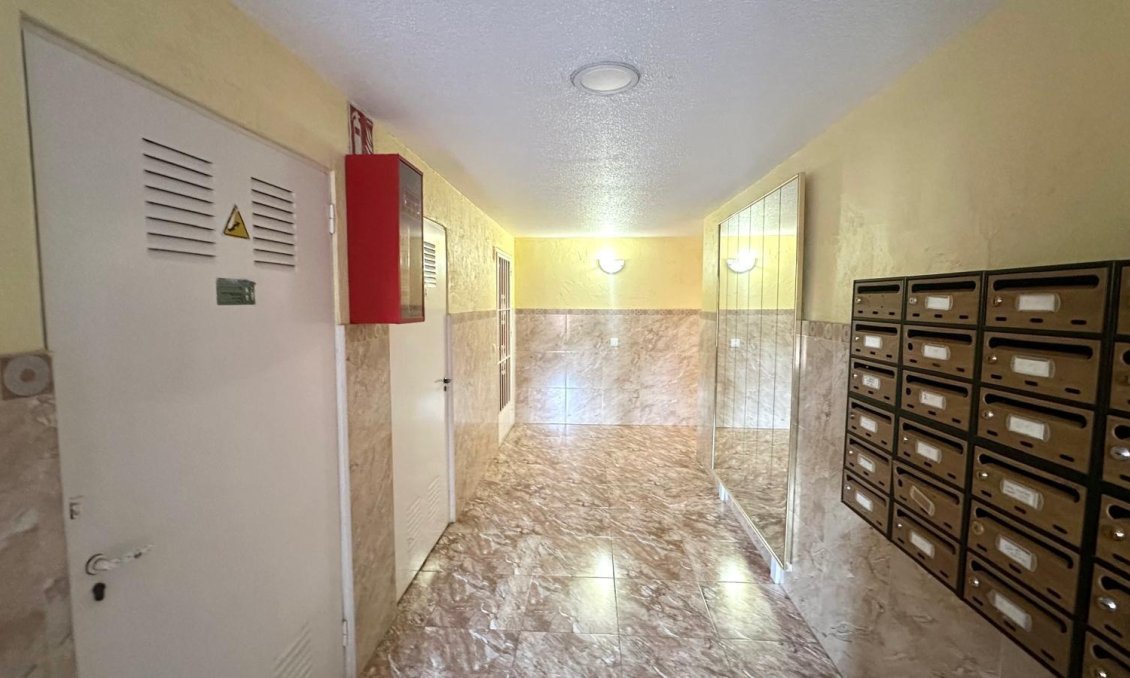 Segunda mano - Apartamento -
Torrevieja - Acequion