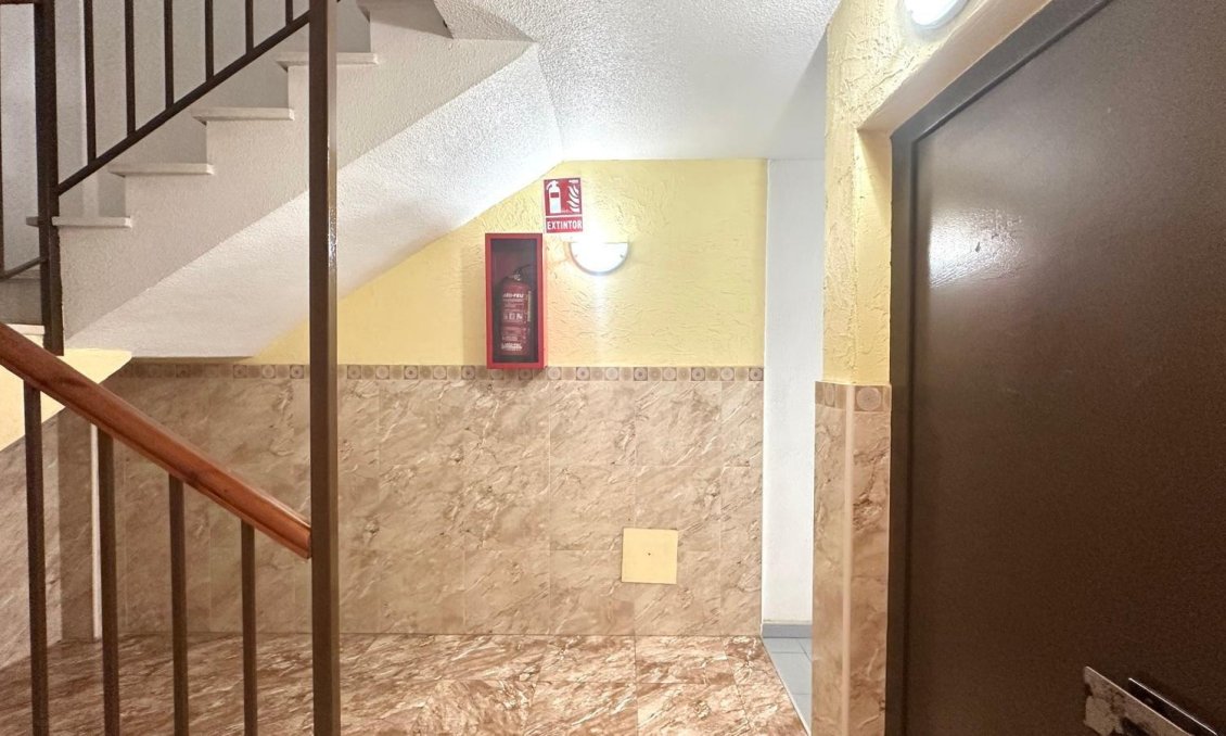 Segunda mano - Apartamento -
Torrevieja - Acequion