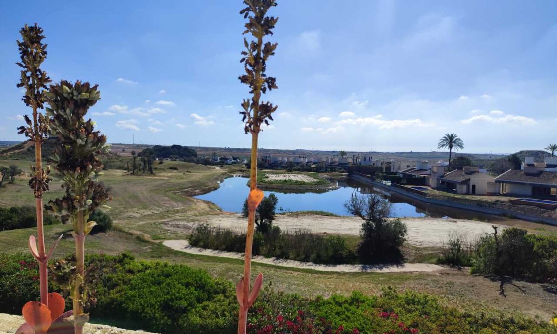 Resale - Villa -
Peraleja Golf - Inland