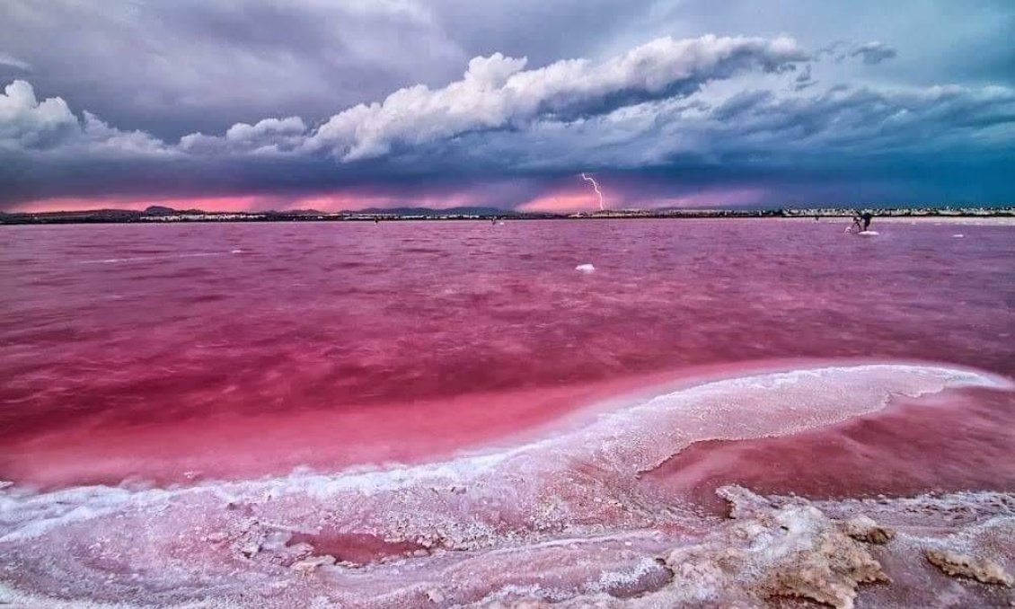 Neue Gebäude - Penthouse -
Torrevieja - Centro