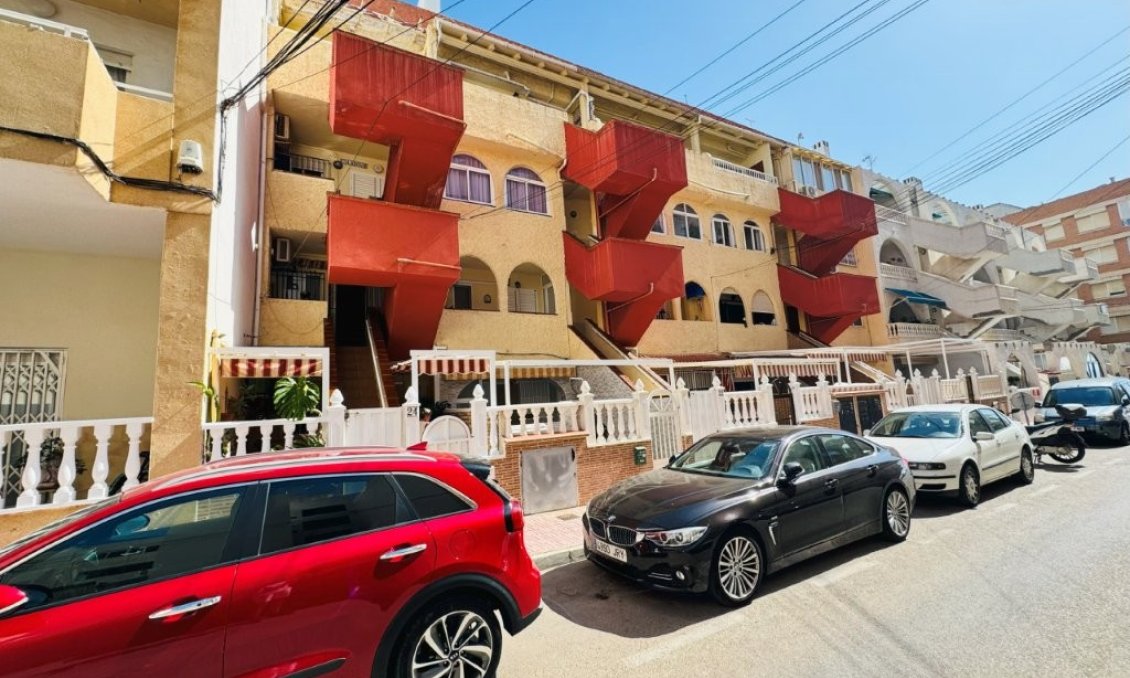 Wiederverkauf - Wohnung -
La Mata - Costa Blanca