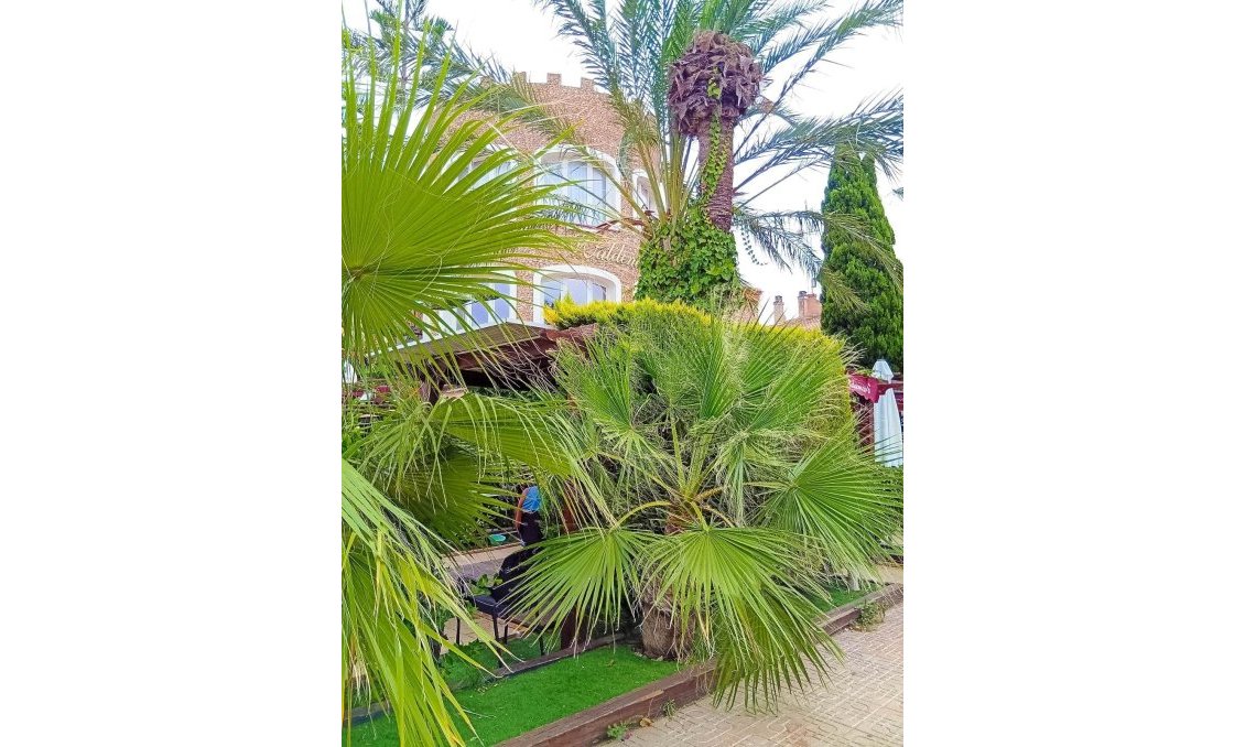 Wiederverkauf - Wohnung -
Orihuela Costa - La Florida