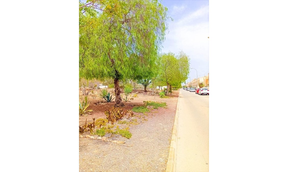 Wiederverkauf - Wohnung -
Orihuela Costa - La Florida