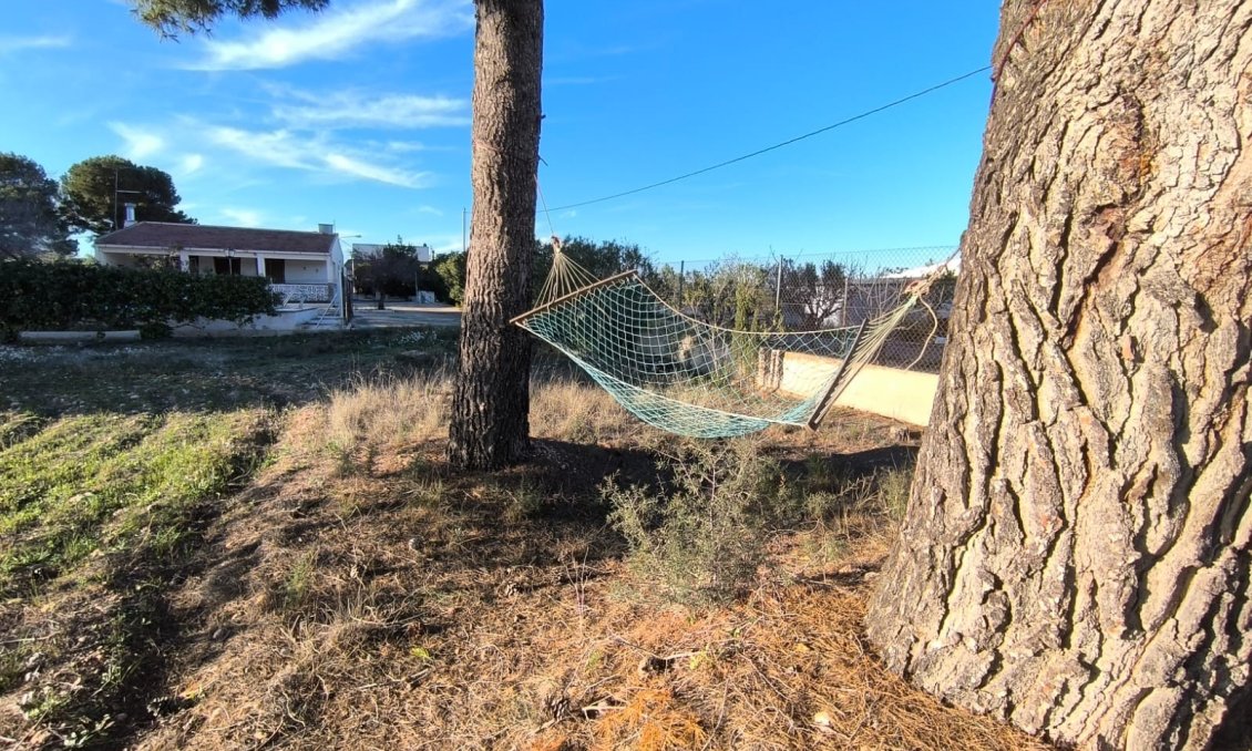 Revente - Villa -
Yecla - Inland