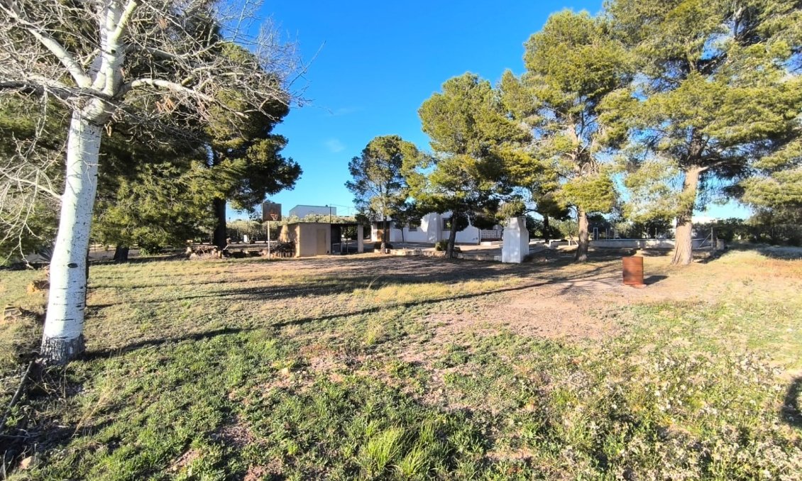 Revente - Villa -
Yecla - Inland