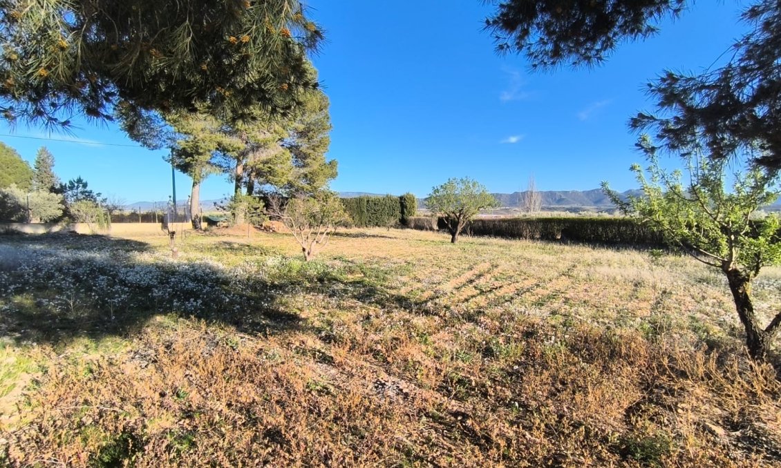 Revente - Villa -
Yecla - Inland