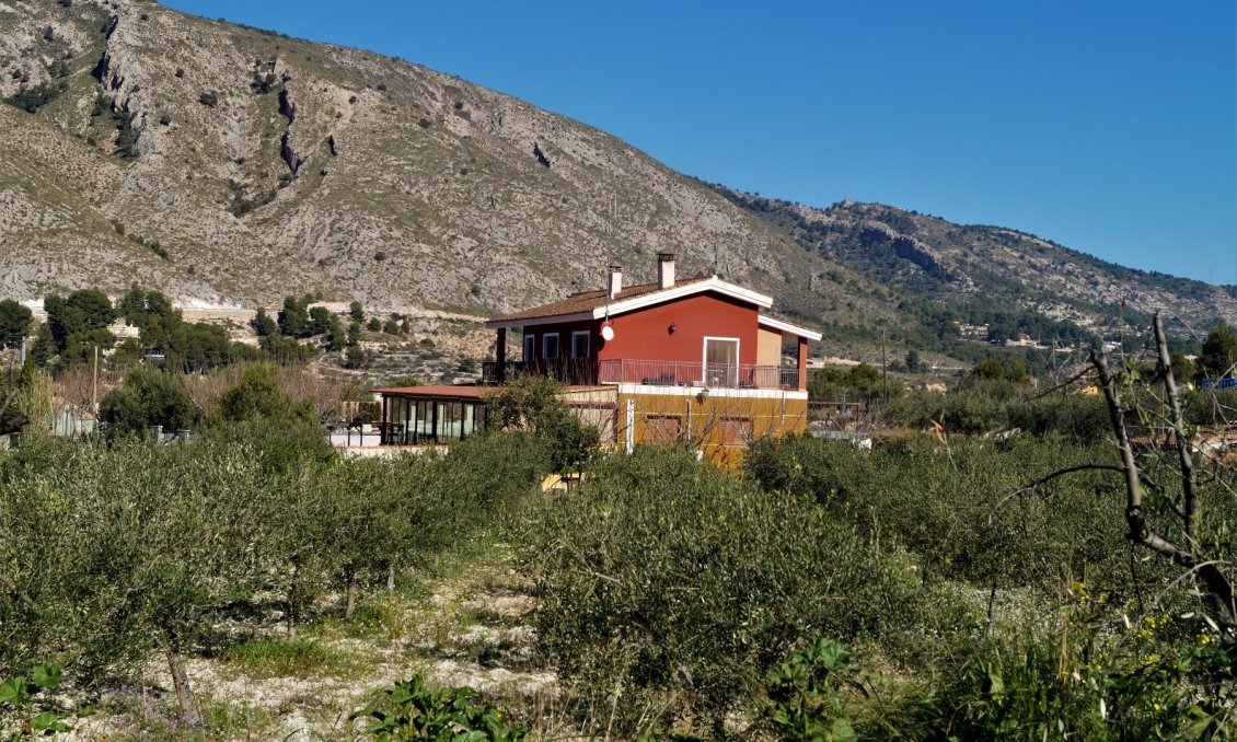 Revente - Villa -
Petrer - Inland