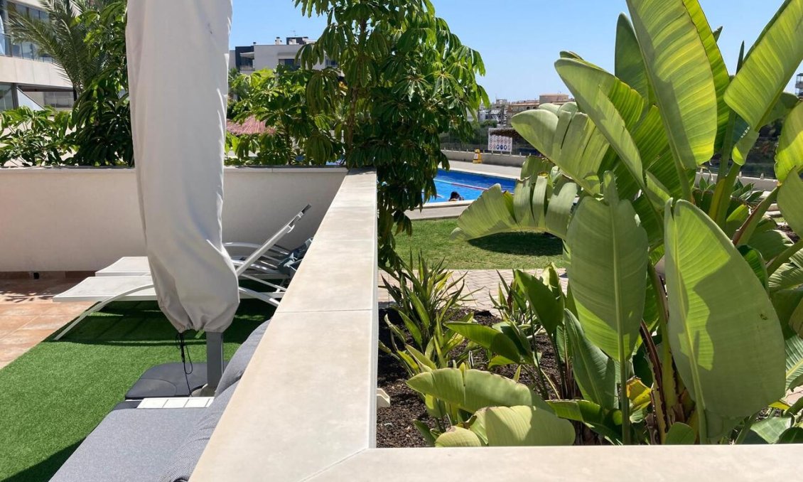 Resale - Apartment -
Los Dolses - Costa Blanca