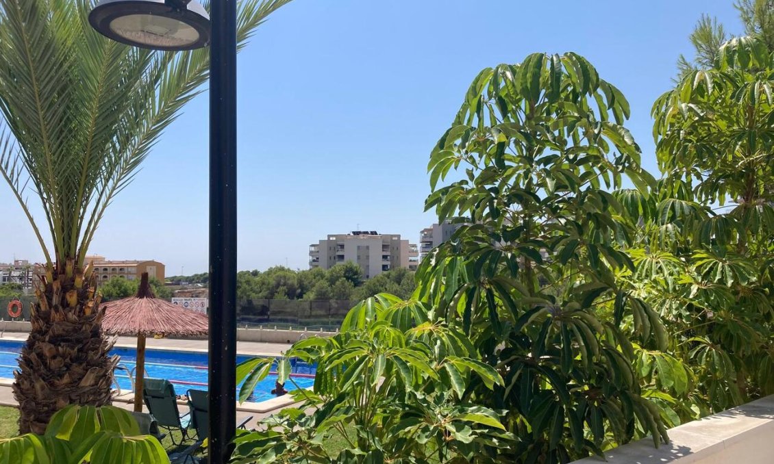 Resale - Apartment -
Los Dolses - Costa Blanca