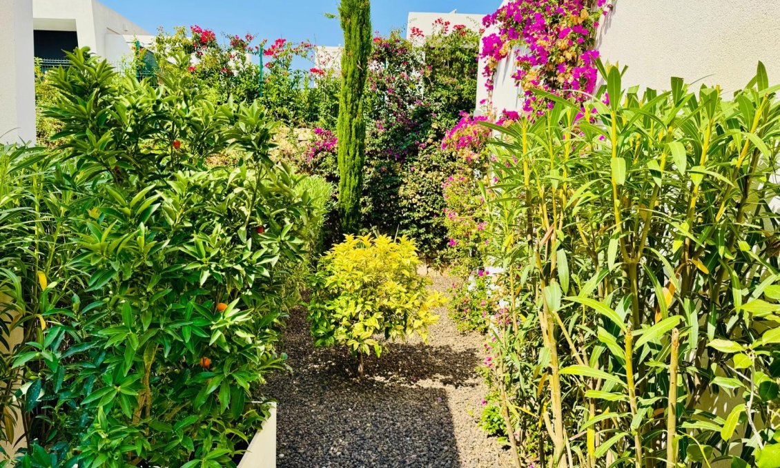 Resale - Villa -
Algorfa - Inland