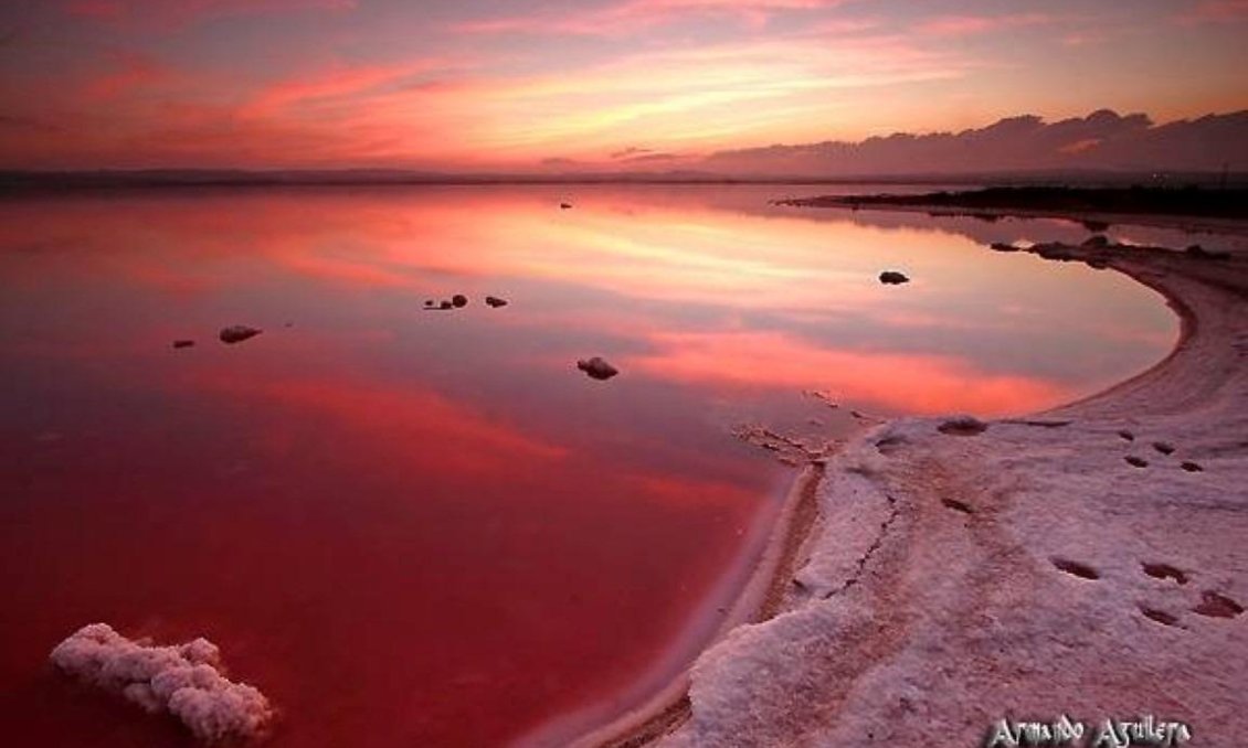 Resale - Duplex -
Torrevieja - La Siesta