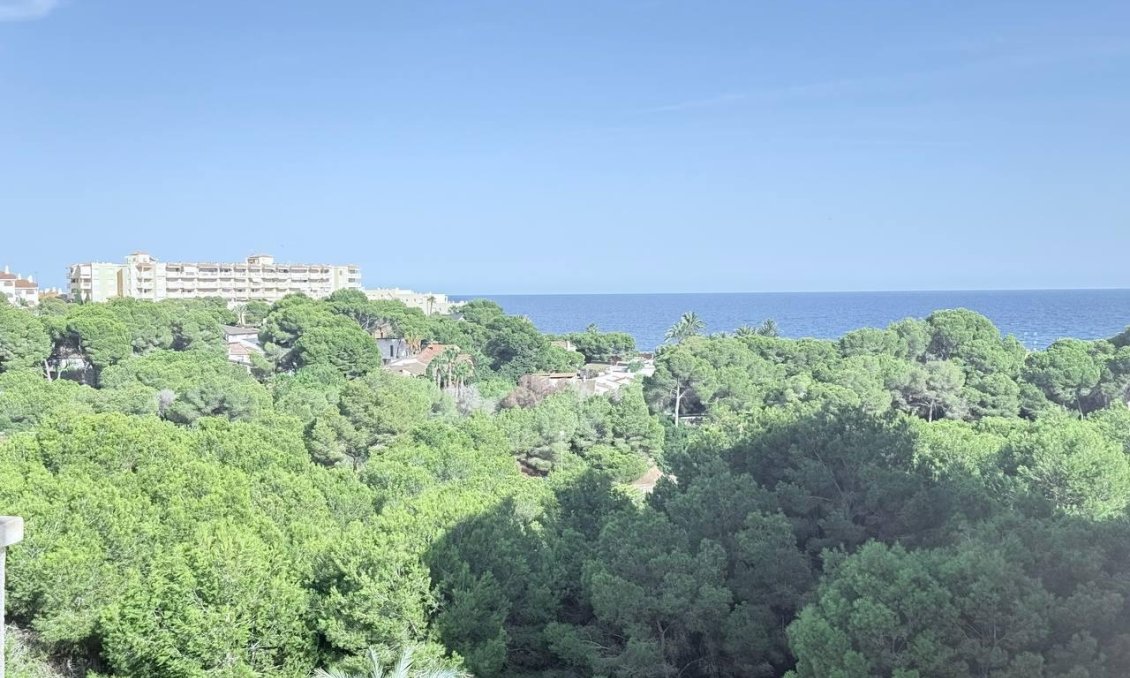 Segunda mano - Apartamento -
Orihuela Costa - Campoamor