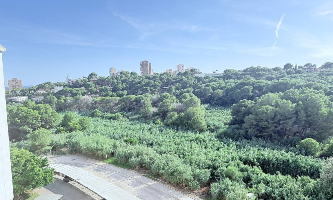 Segunda mano - Apartamento -
Orihuela Costa - Campoamor