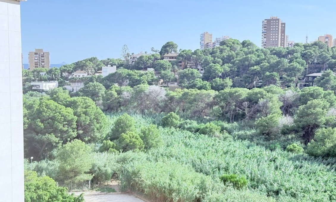 Segunda mano - Apartamento -
Orihuela Costa - Campoamor