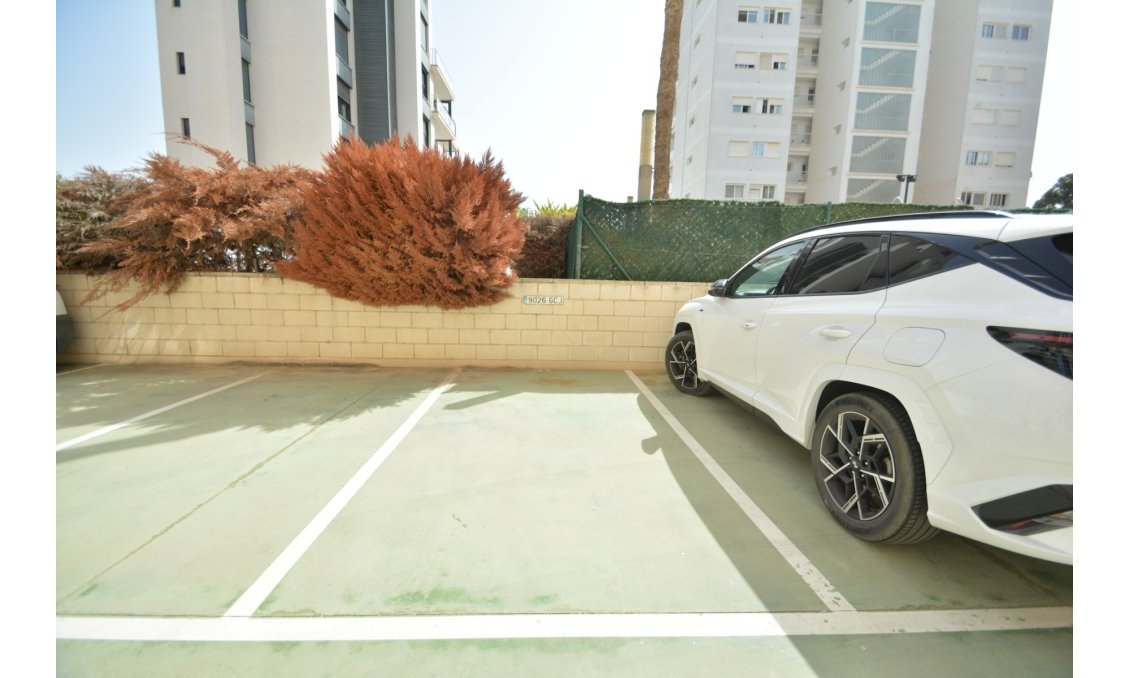 Használt Ingatlanok - Apartman -
Guardamar del Segura - Costa Blanca