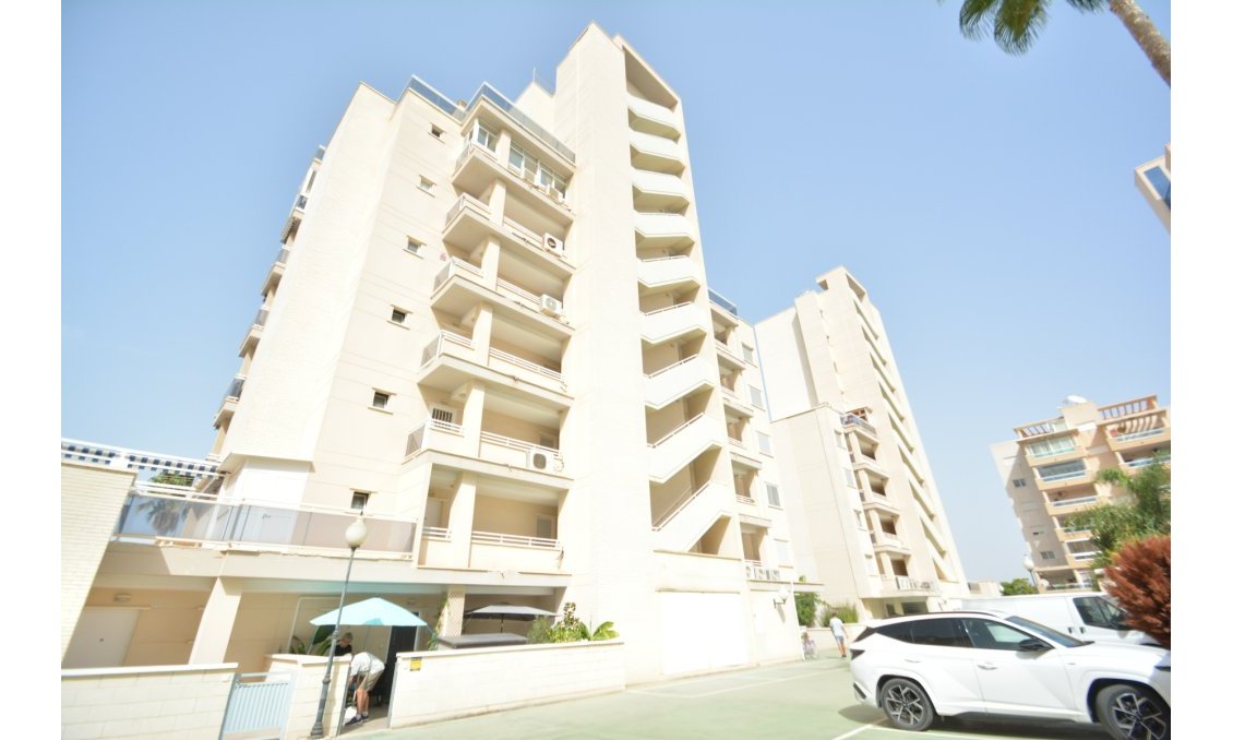 Használt Ingatlanok - Apartman -
Guardamar del Segura - Costa Blanca