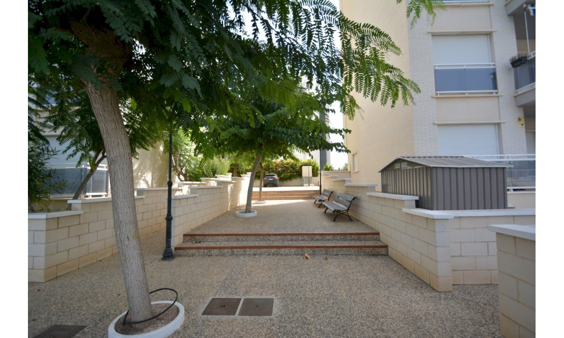 Használt Ingatlanok - Apartman -
Guardamar del Segura - Costa Blanca