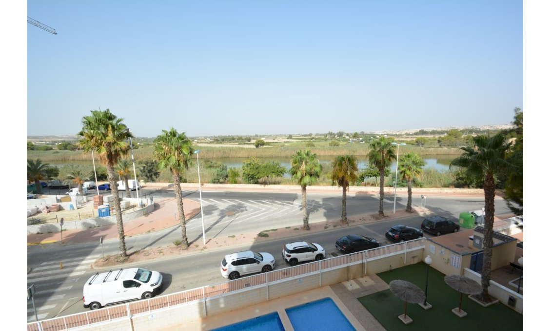 Használt Ingatlanok - Apartman -
Guardamar del Segura - Costa Blanca