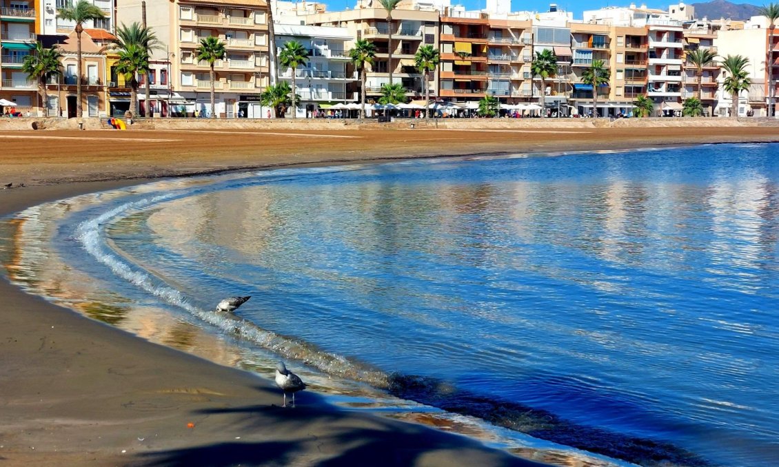 Neue Gebäude - Bungalow -
Fuente Álamo - La Pinilla