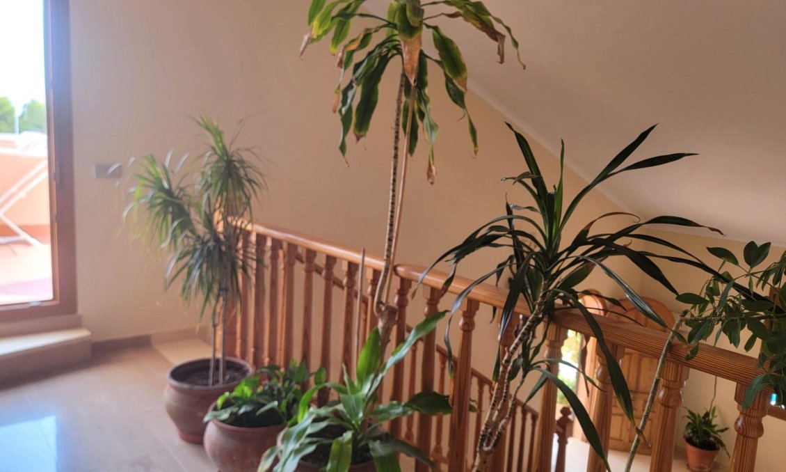 Wiederverkauf - Villa -
Torrevieja - Aguas Nuevas