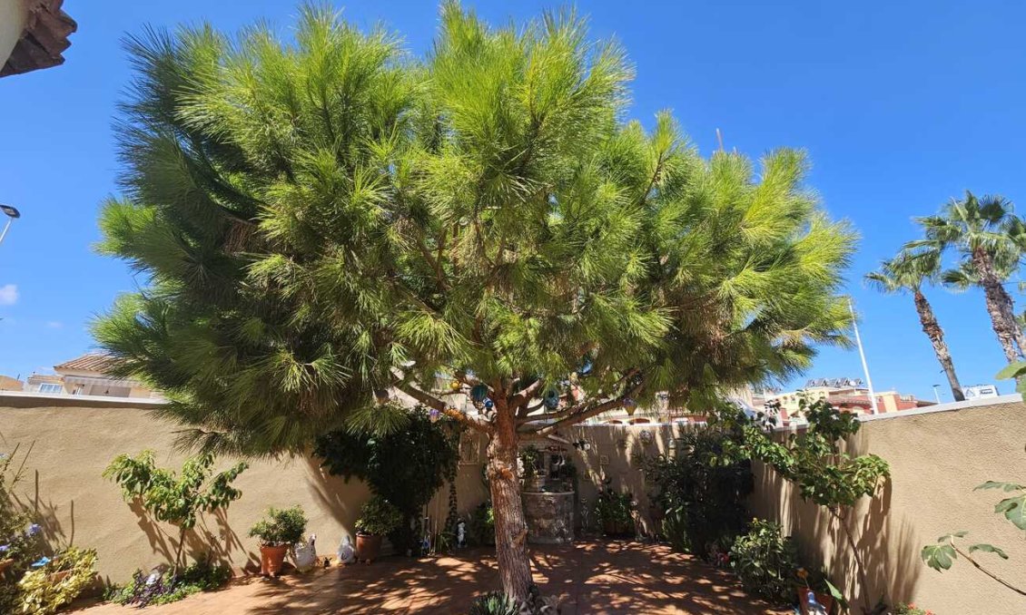 Resale - Villa -
Torrevieja - Torre Del Moro