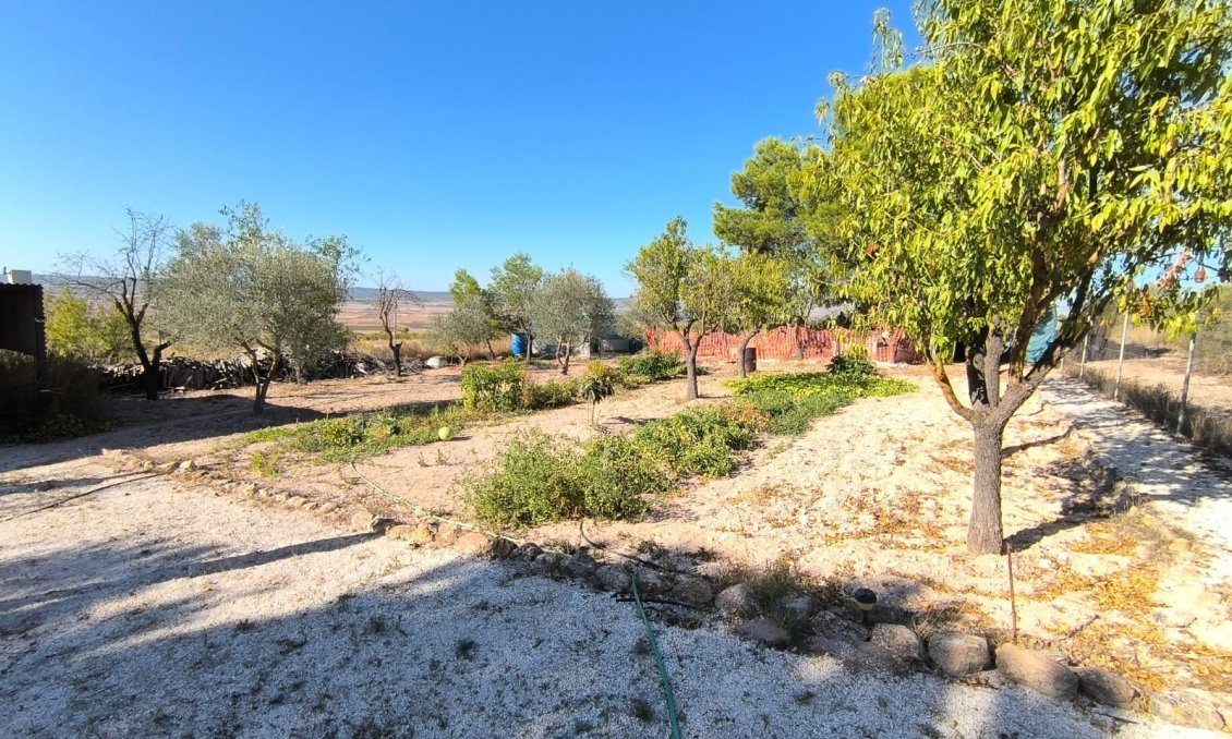 Revente - Villa -
Yecla - Inland