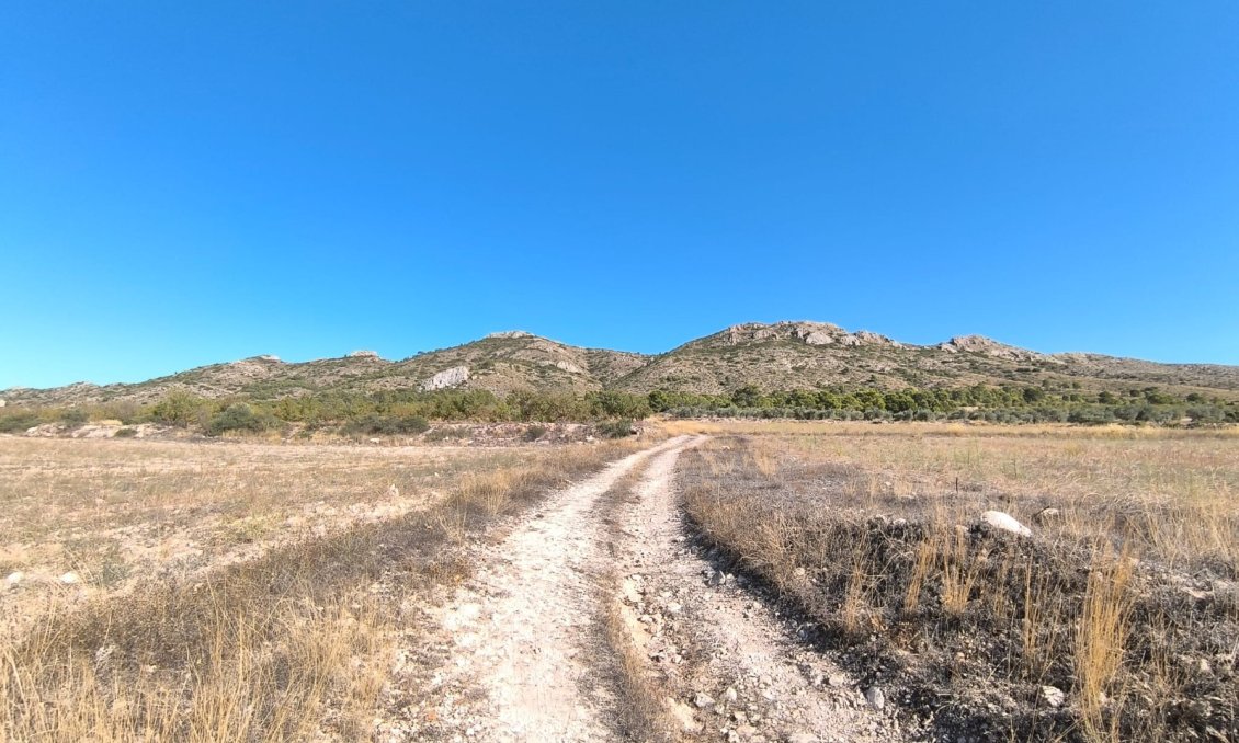 Revente - Villa -
Yecla - Inland