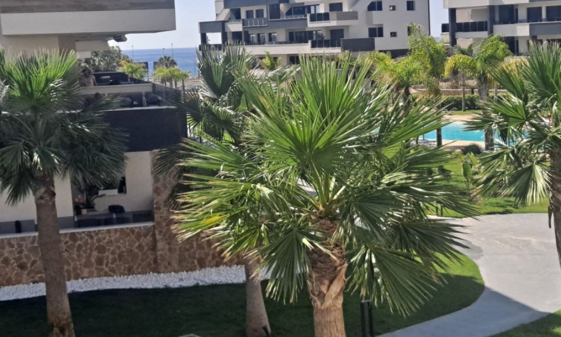 Wiederverkauf - Wohnung -
Playa Flamenca - Costa Blanca
