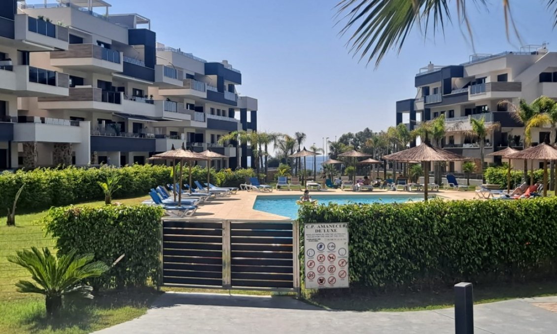 Wiederverkauf - Wohnung -
Playa Flamenca - Costa Blanca