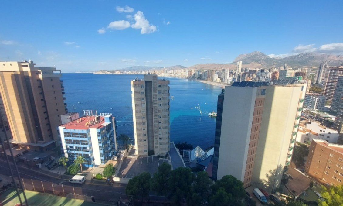 Resale - Apartment -
Benidorm - Costa Blanca