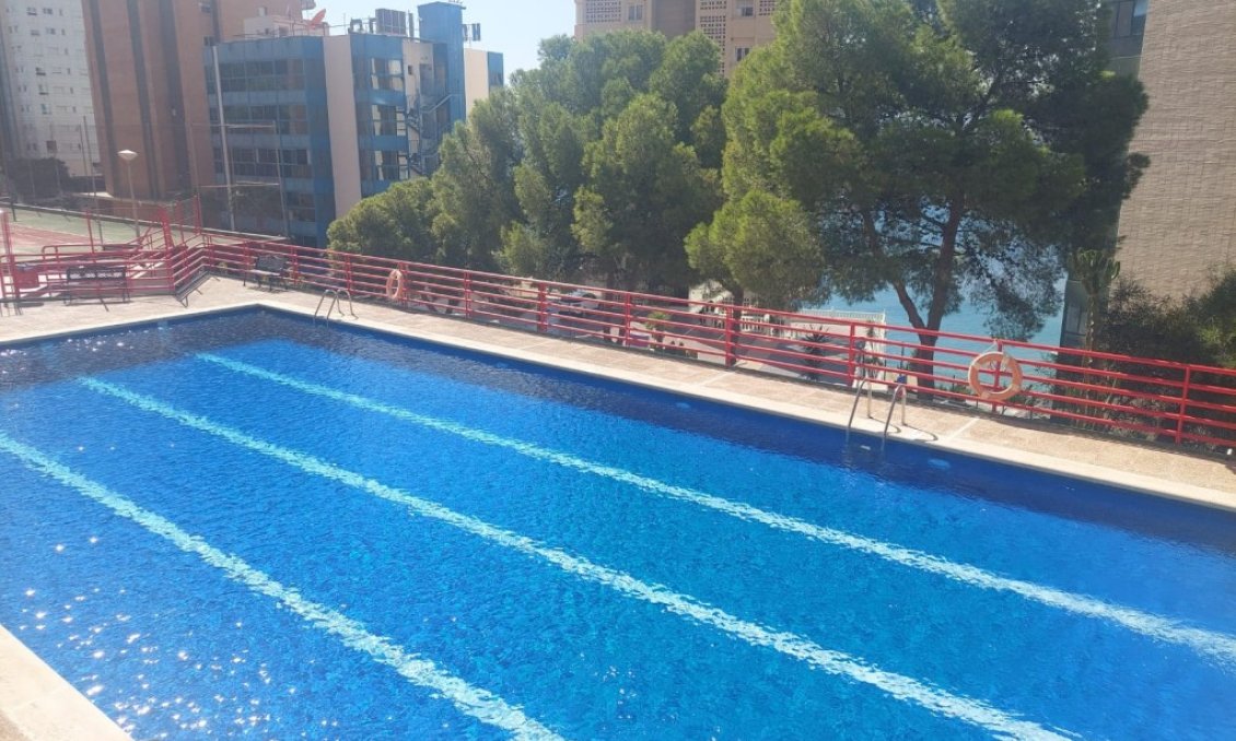 Resale - Apartment -
Benidorm - Costa Blanca