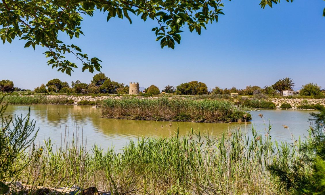 Resale - Villa -
San Fulgencio - La Marina