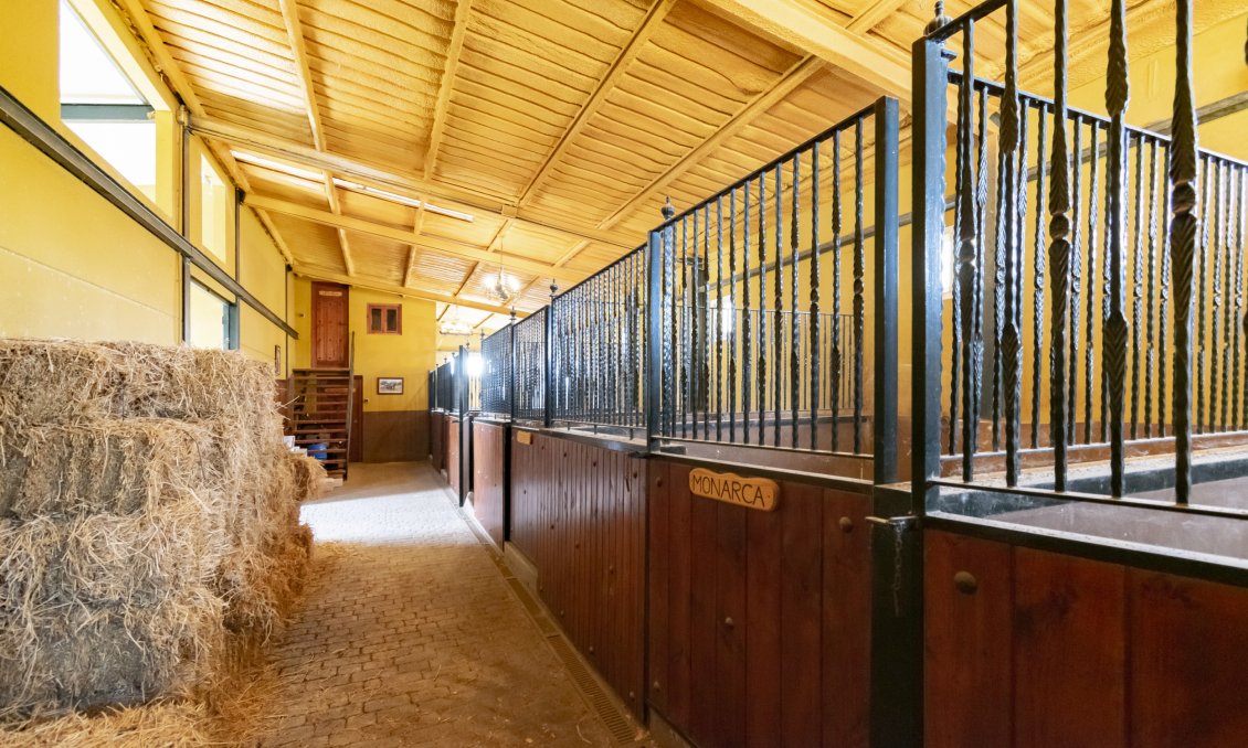 Wiederverkauf - Villa -
El Beal - Inland