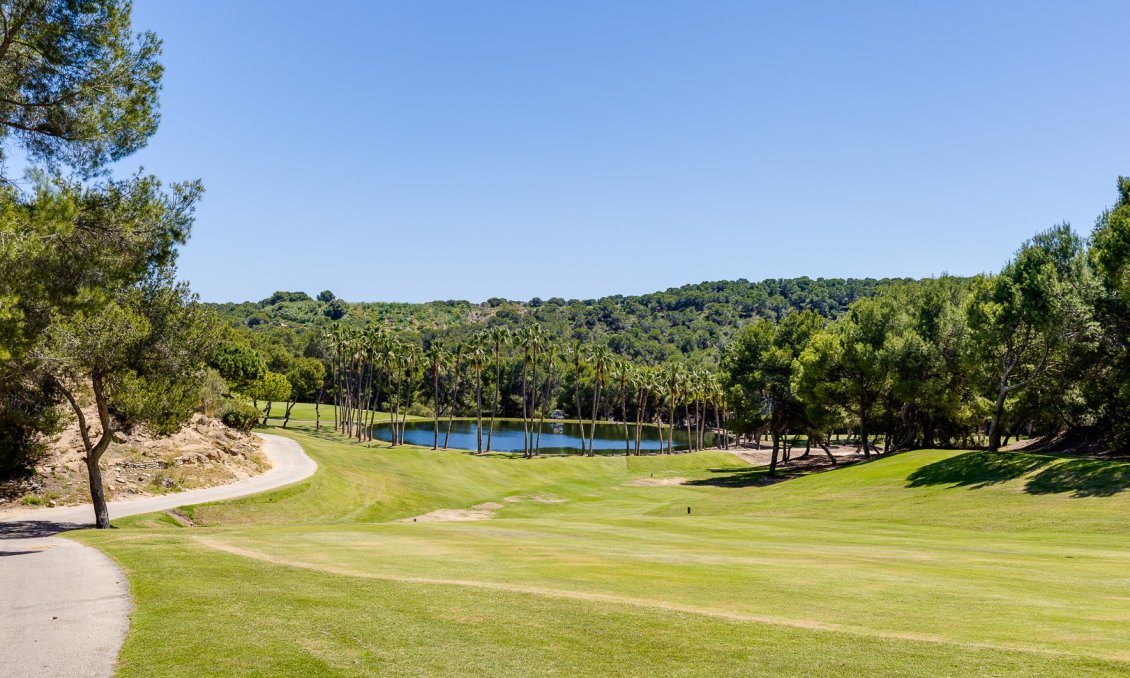 Használt Ingatlanok - Bungaló -
San Miguel de Salinas - Inland