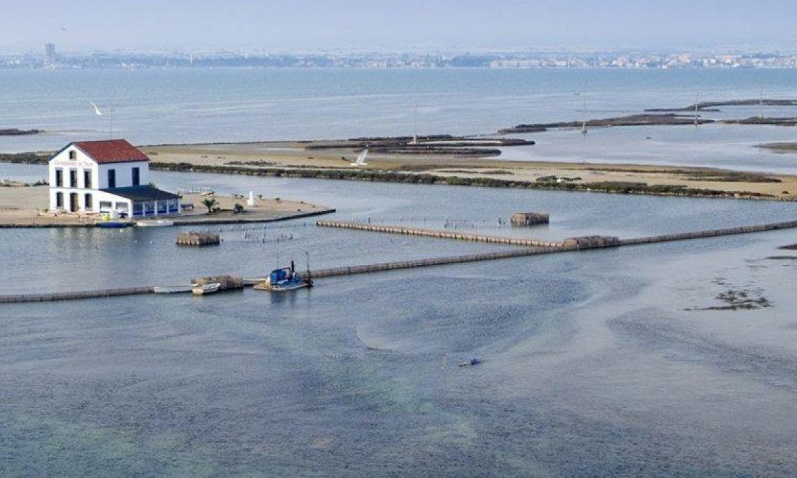 Neue Gebäude - Villa -
San Pedro del Pinatar - Centro