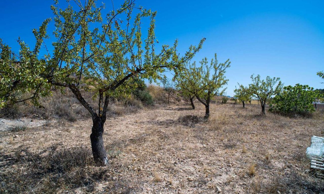 Wiederverkauf - Villa -
Pinoso - Inland