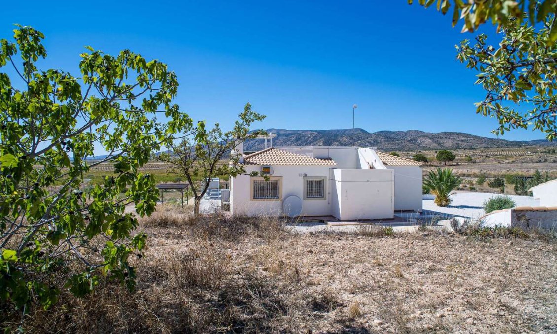 Wiederverkauf - Villa -
Pinoso - Inland