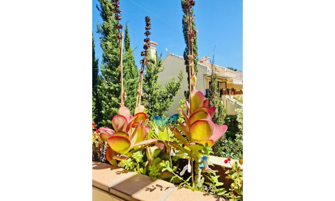 Segunda mano - Apartamento -
Orihuela Costa - Costa Blanca