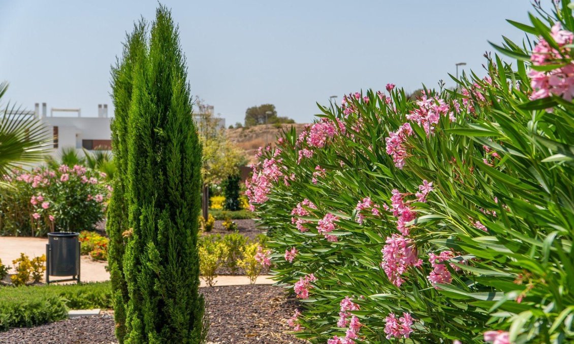 Obra nueva - Ground Floor Bungalow -
Orihuela - Vistabella Golf