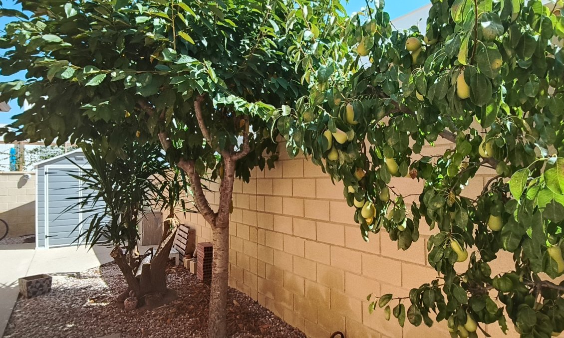 Resale - Villa -
La Romana - Inland