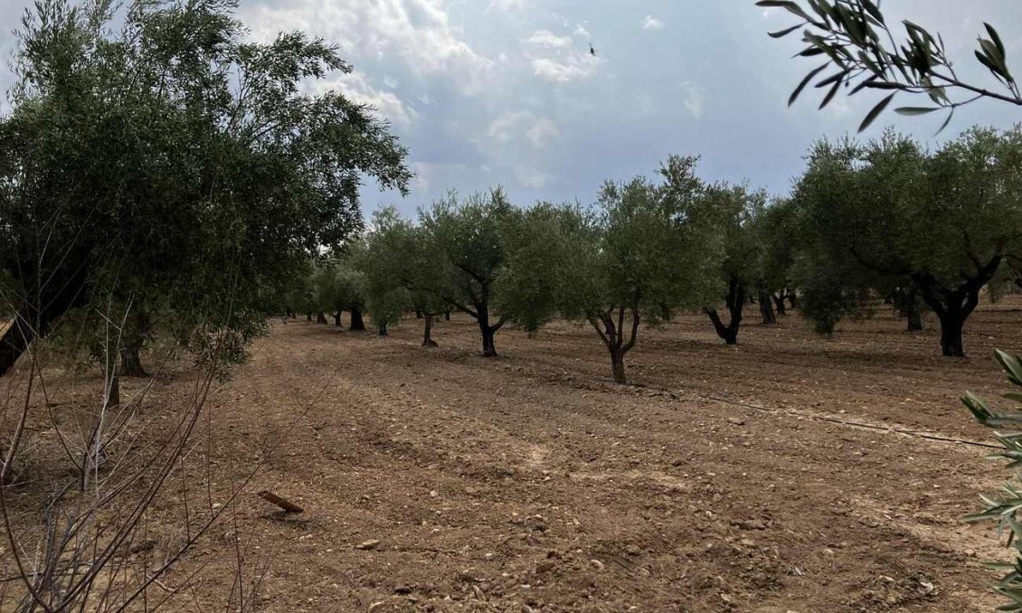 Wiederverkauf - Villa -
Biar - Costa Blanca